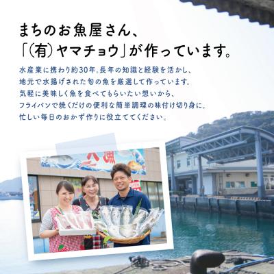 ふるさと納税 南さつま市 【漁師の手作り】小分けで便利!味付け切身の詰め合わせ 10P(5種×2P) |  | 03