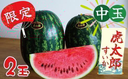 【2025年発送】夏の風物詩 中玉すいか「虎太郎西瓜」２玉 すいか 甘い すいか2玉 　H141-016