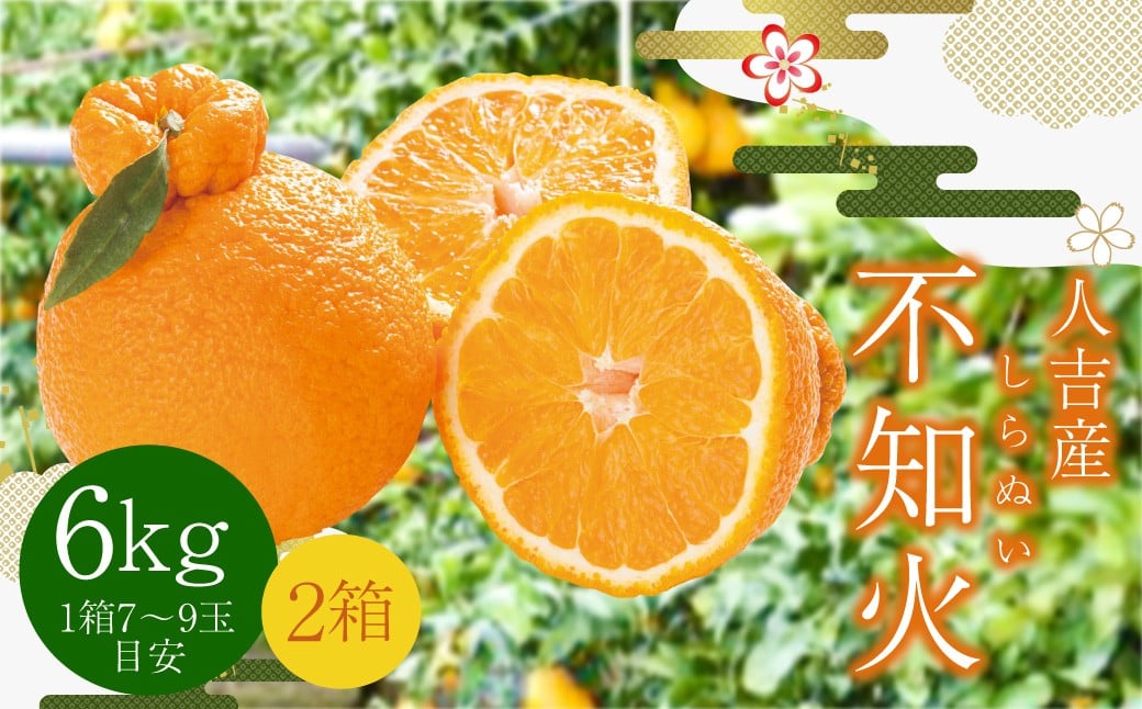 
                  【先行予約】 人吉産 不知火 （しらぬい） 6kg フルーツ 果物 くだもの 柑橘 デコポン でこぽん お取り寄せ【2026年12月下旬より順次発送予定】
                
