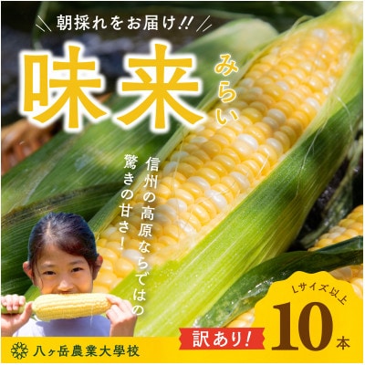 【数量限定!訳あり】フルーツのような甘さ『皮付き』生とうもろこし10本【配送不可地域：離島】