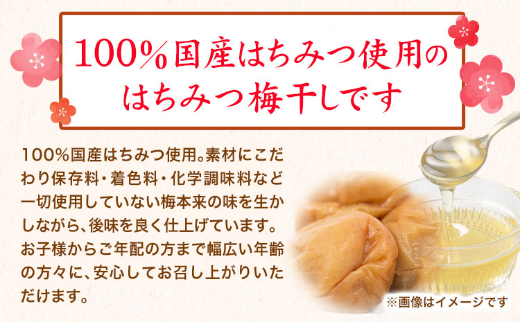 紀州南高梅使用はちみつうす塩味完熟梅干し無選別1kg厳選館《90日以内に出荷予定(土日祝除く)》梅干しはちみつうす塩梅紀州南高梅---wsh_genmhum_90d_22_13000_1kg---