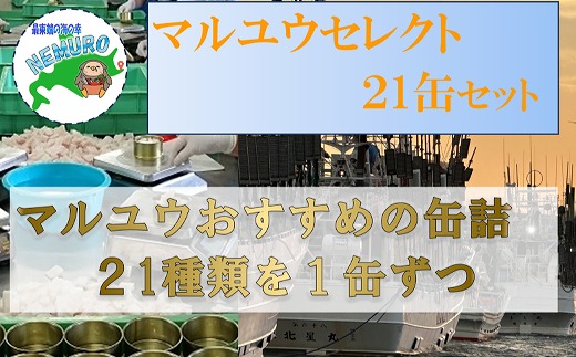D-78017 マルユウセレクト21缶