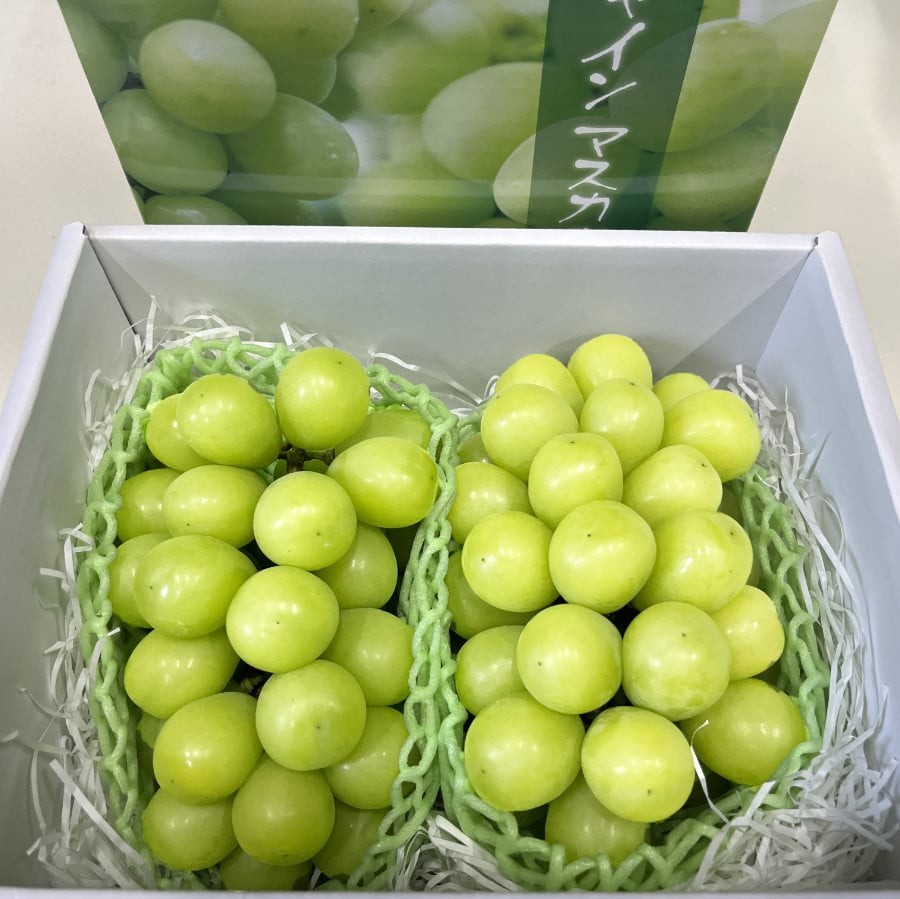 
                  【定期便セット】【石橋果樹園】果物／佐賀のくだもの定期便4回（桃、シャインマスカット、さがみかん、蔵入りみかん）
                
