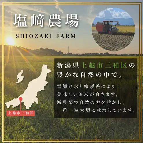 先行予約 定期便3回配送【10月より順次出荷※下旬配送】令和8年産 新潟県 上越市産 にじのきらめき 5kg （計15kg）白米 精米 送料無料 虹のきらめき 塩崎農場