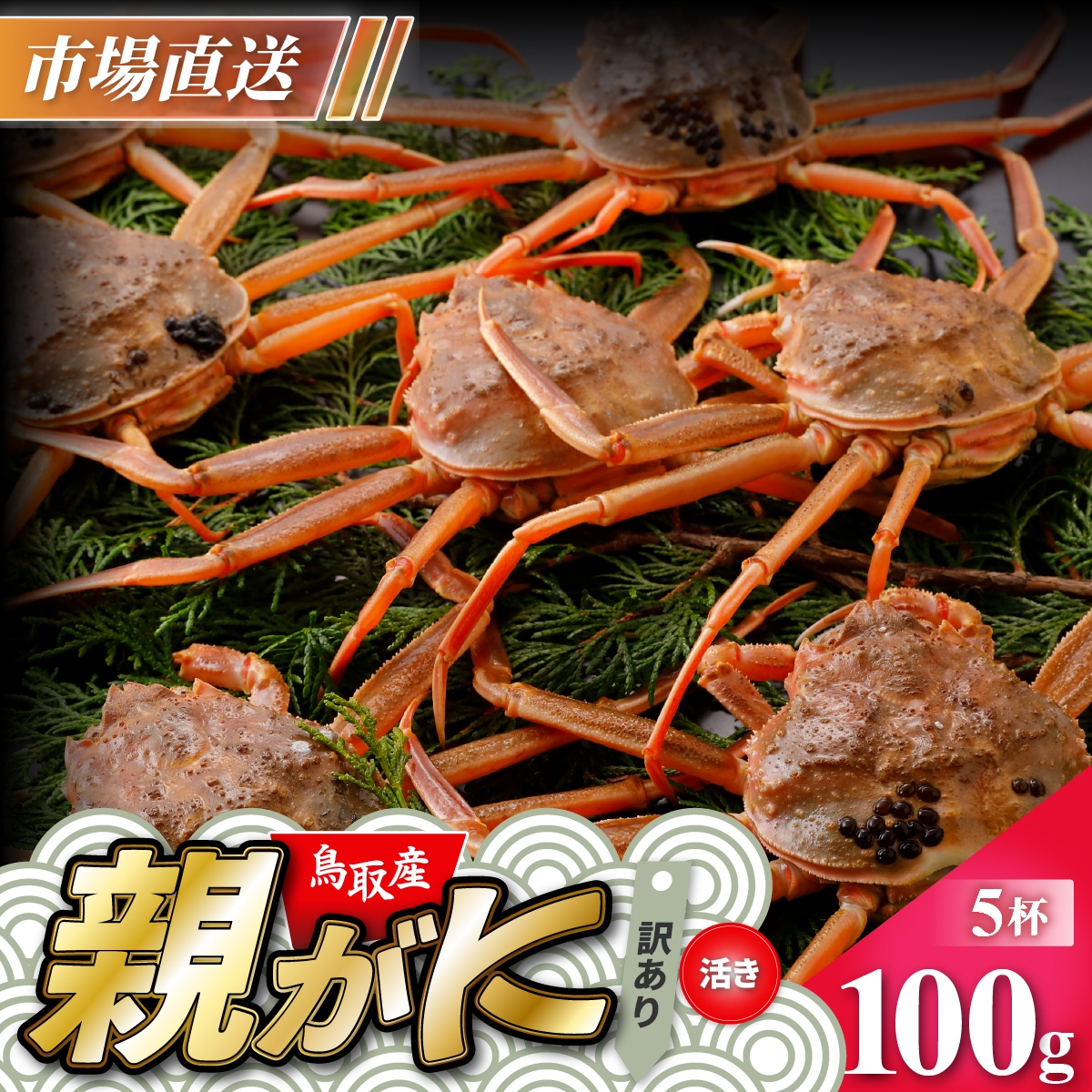 
                  【活物】訳あり親ガニ(セコガニ) 100g　5杯
                