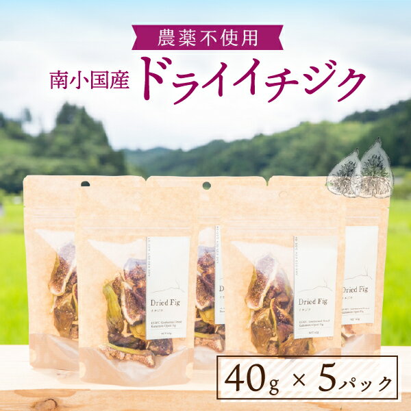 【ふるさと納税】天然の地熱で旨味を凝縮！南小国産ドライイチジク (5袋セット) 40g 5袋 地熱 国産 南小国産 ドライイチジク ドライフルーツ イチジク いちじく オーガニック おやつ 持ち運び ギフト 贈答用 熊本 阿蘇 南小国町 送料無料