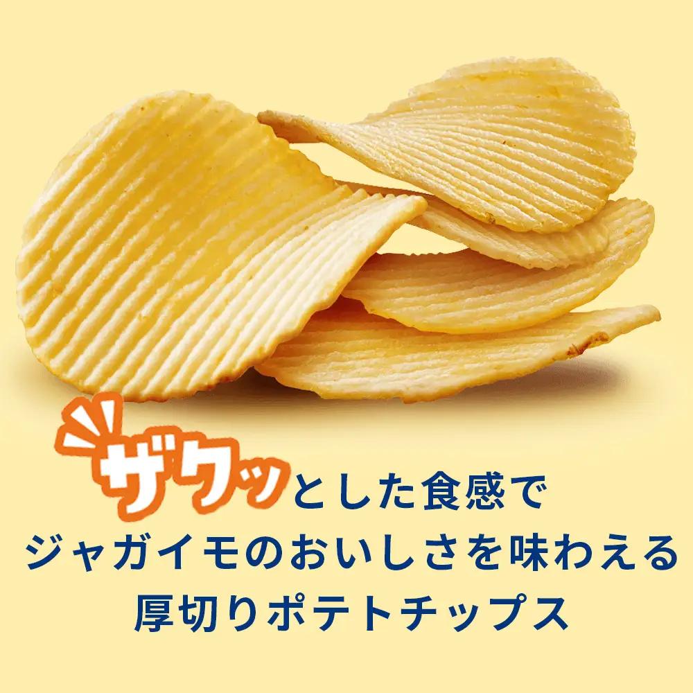 【定期便2カ月】ザ厚切りのための うすしお味 24袋 2箱 カルビー ポテトチップス 《千歳工場製造》