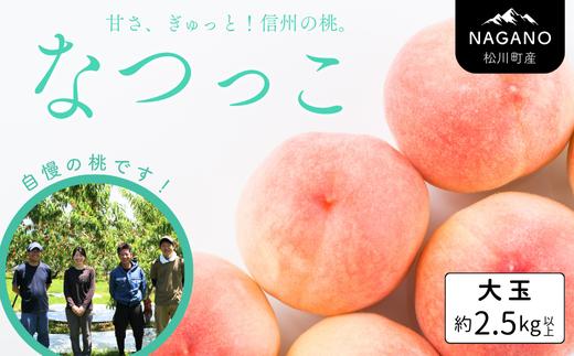 KM15 桃 なつっこ 大玉 約2.5kg以上（6玉）贈答 ／2026年8月上旬～8月中旬頃 発送予定｜長野県 南信州 松川町産 モモ もも  贈答 産地直送 新鮮 特大 選べるサイズ KM