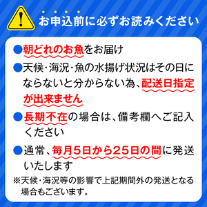 【12ヶ月定期便】大和海商　高級お刺身　4人前　冷蔵　N072-ZG066_1