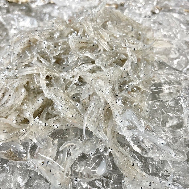 536.しらす味わいセット（釜揚げしらす・しらすの佃煮）１.２ｋｇ(A536-1)