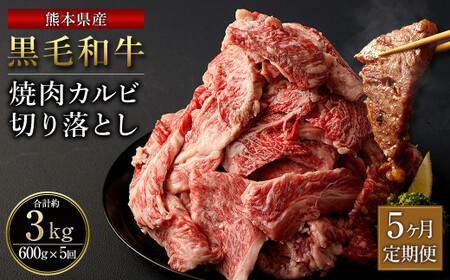 【5ヶ月定期便】熊本県産 黒毛和牛 焼肉 カルビ 切り落とし 合計3,000g 600g 300g×2パック 和牛 牛肉 肉  バーベキュー 炒め物 国産 九州産