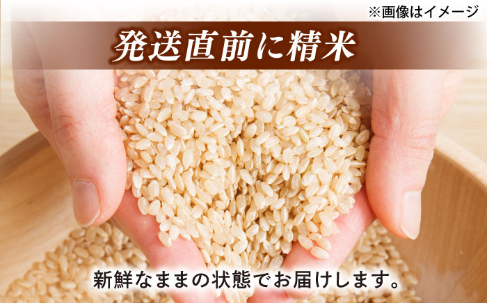 ＼新生活応援企画！／【数量限定50個】【4月末まで！】豊かな自然が育んだお米 松江市産きぬむすめ 5kg 島根県松江市/フジキコーポレーション株式会社 [ALDS020] 米