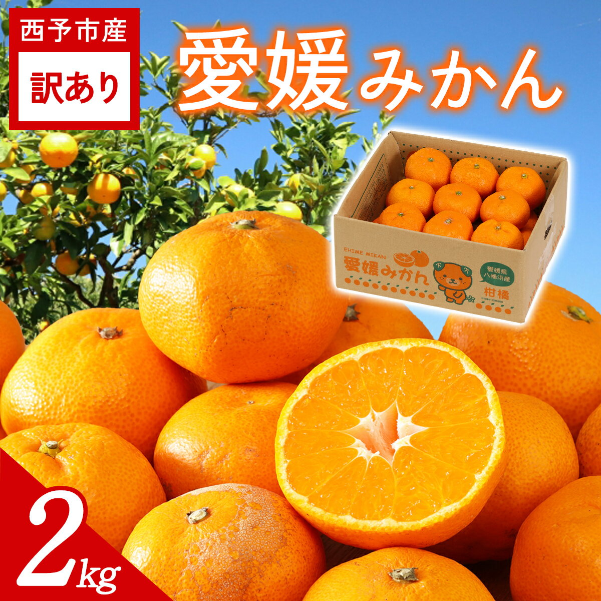 【ふるさと納税】【先行予約】＜訳あり 愛媛みかん 合計約2kg＞ 『2026年11月以降順次出荷予定』温州 みかん フレッシュ ご家庭用 ご自宅 蜜柑 愛媛県産 キロ 果肉 お試し 果物 柑橘 フルーツ オレンジ 国産 濃厚 産地直送 ミヤモトオレンジガーデン 愛媛県 西予市【常温】