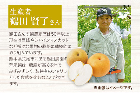 梨ドレッシングと焼肉のタレ3本 鶴田農園《60日以内に出荷予定(土日祝除く)》熊本県 荒尾市産 ドレッシング 焼肉のたれ タレ 梨 果物 フルーツ