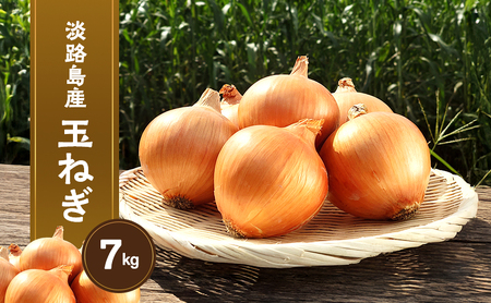 淡路島産玉ねぎ 7kg 野菜 淡路島産 玉ねぎ 玉葱 善太 兵庫県 洲本市 淡路島