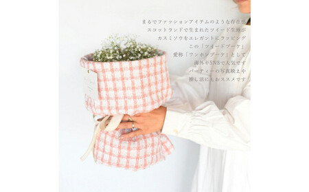 かすみそう「ツイードブーケ」 かすみ草 カスミソウ 花束(小さいサイズ) 花 誕生日 成人式 卒業祝い 初節句 ひな祭り バレンタイン お返し 結婚 ウエディング 送別 祝い プレゼント ギフト 結婚