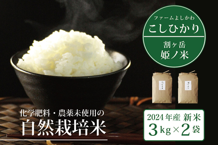 割ケ岳 姫乃米6kg（信濃町精米令和6年度産コシヒカリ3kg×2）