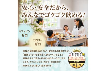 『定期便：全4回』健康ミネラルむぎ茶2L×6本【500009】