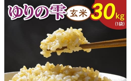 令和7年度産 ゆりの雫《玄米》 30kg (1袋)｜米 おこめ ふさおとめ 直送 推奨米 袖ケ浦 千葉 [0522]