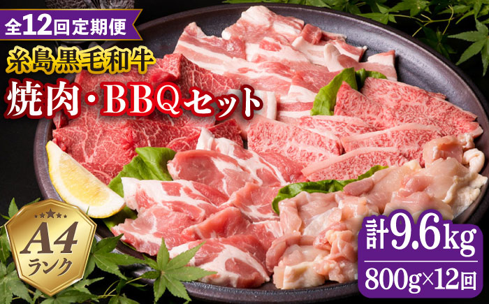 
【全12回定期便】焼肉・バーベキュー セット 計800g 牛モモ 牛バラ 豚バラ 豚肩ロース 鶏もも肉 糸島市 / 糸島ミートデリ工房 [ACA274]
