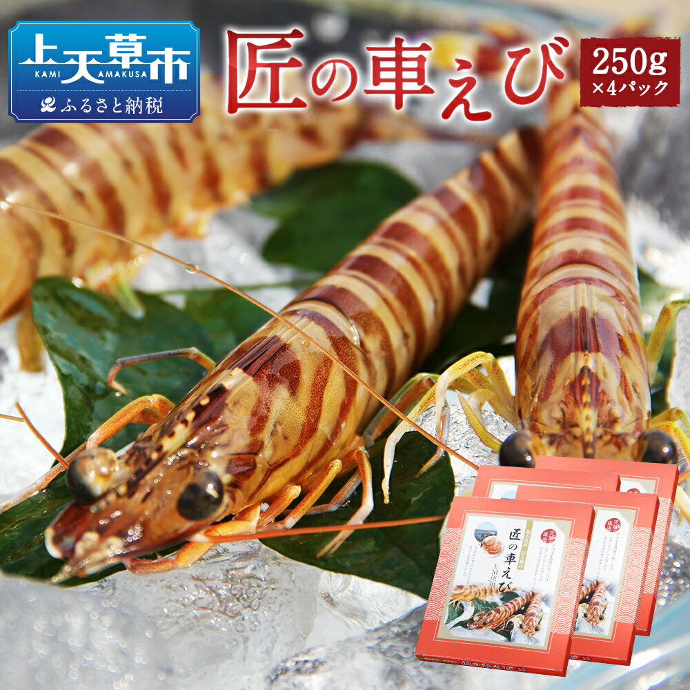 【ふるさと納税】匠の車えび 活き締め急速冷凍 250g×4パック 約28尾〜40尾 くるまえび 海老 海鮮 国産 九州産 熊本県産 冷凍 ギフト 化粧箱入り 車海老 車海老 送料無料