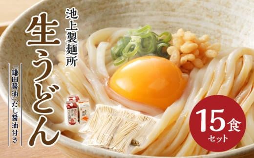 本家　池上製麺所　生うどん15食（鎌田醤油　だし醤油）｜うどん 生麵 るみおばあちゃん 釜たまうどん 生醤油 醤油 生うどん 麺 麺類 香川 香川県 高松 讃岐 さぬき