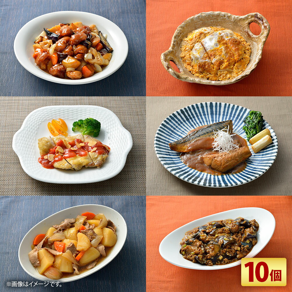 【ふるさと納税】3分ごはん おかず10個 セット 10種類 おかず 惣菜 レンチン 簡単調理 お弁当 ごはん おつまみ かつとじ 油淋鶏 チキン 肉じゃが ハンバーグ チンジャオロース 酢豚 鯖の味噌煮 ハッシュドビーフ 冷凍 神奈川県 大和市 送料無料 【配送不可地域：離島】