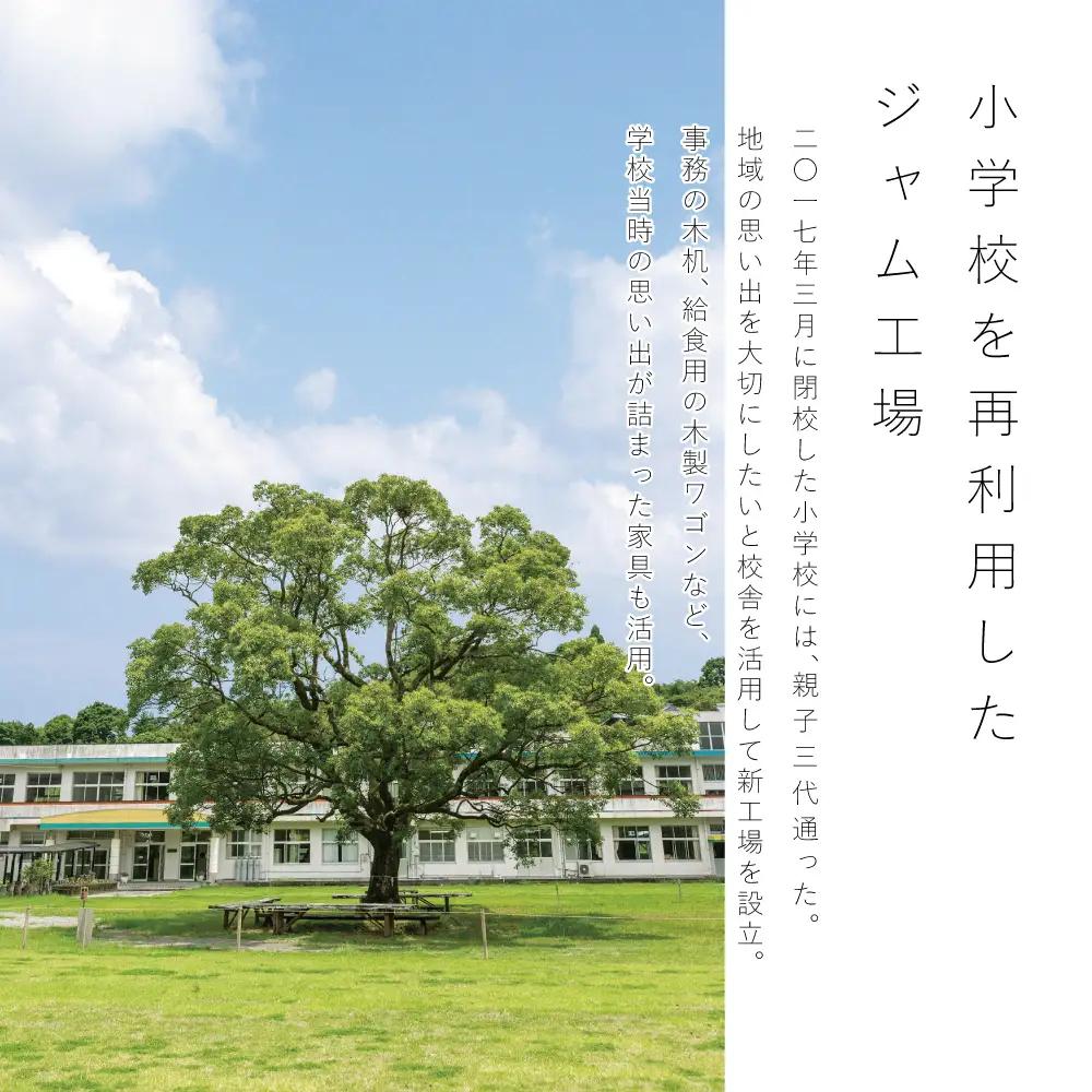 【ふるなびWEEK対象】柑橘フルーツゼリー 詰め合わせ 5種 常温 セット スイーツ お菓子 ギフト 贈り物 贈答用 詰合せ おすすめ お取り寄せ 果物 フルーツゼリー 清木場果樹園 鹿児島 南さつま