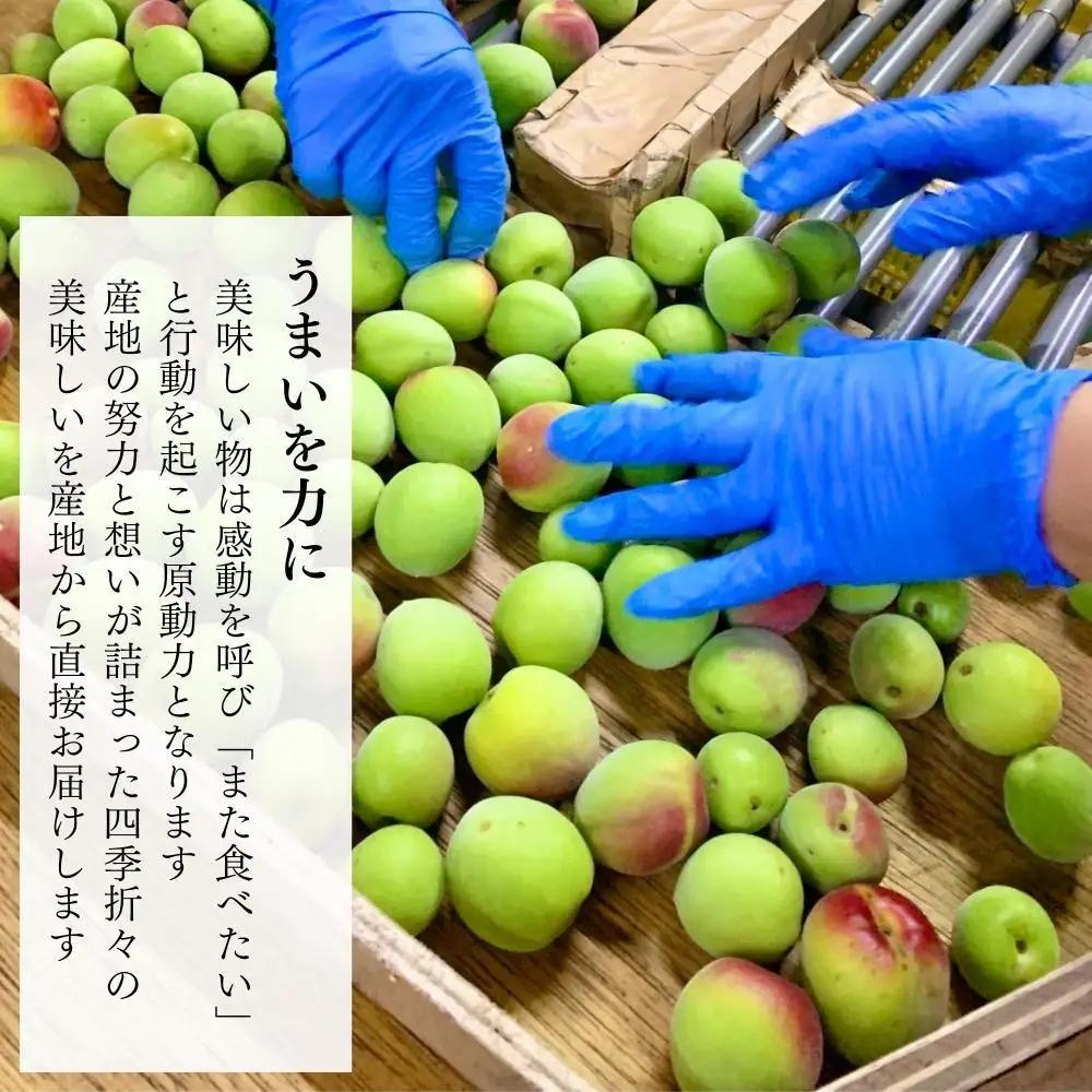 青梅 南高梅 5kg 秀品 サイズミックス 和歌山県産 A品 梅酒作り用 梅ジュース作り用