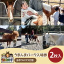 【ふるさと納税】55-01 うまんまパーク入場券（おやつバケツ付き）2枚セット【馬 パーク 牧場 乗馬 入場券 茨城県 阿見町】