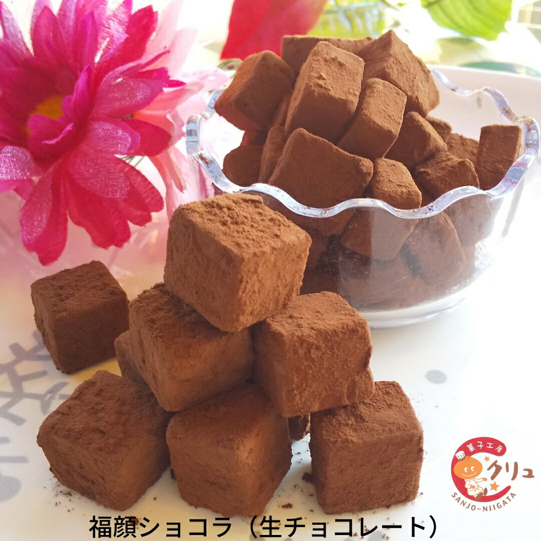 【ふるさと納税】 福顔ショコラ（生チョコレート） チョコレート 生チョコ お菓子 おやつ デザート スイーツ お取り寄せ 10000円以下 1万円以下 【010S346】