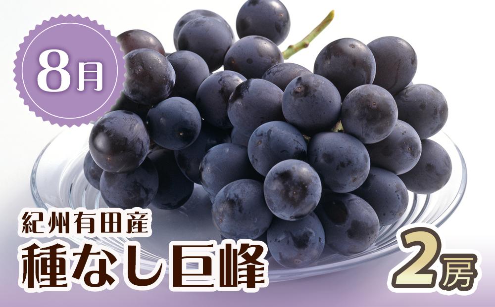【2・8・9・12月 全4回 定期便 】紀州和歌山産旬のフルーツセット（不知火・種なし巨峰・シャインマスカット・みかん）【UT123】