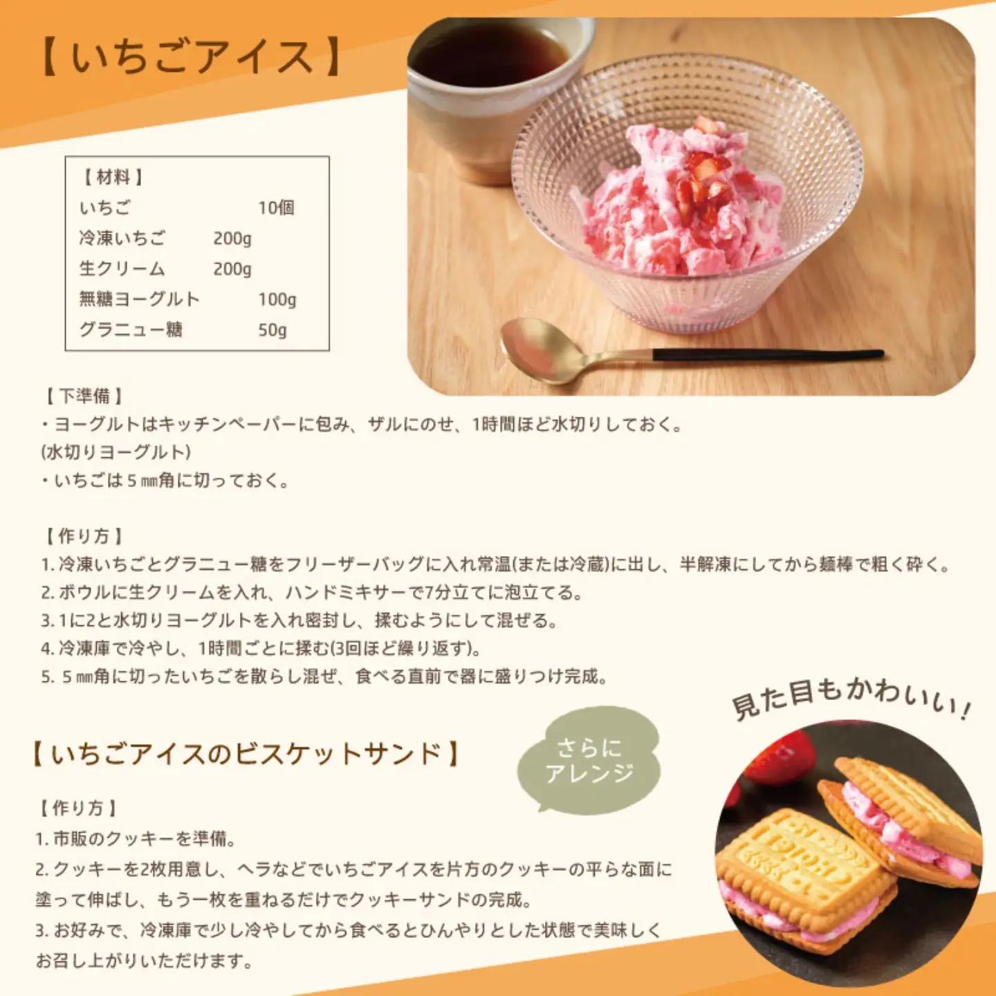 いちご 冷凍 とちおとめ 2kg いちご