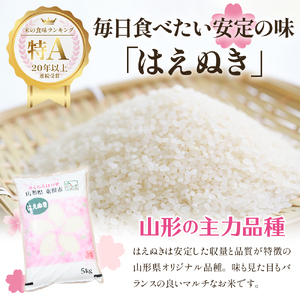 【令和6年産 先行予約】はえぬき15kg (2025年4月前半送付)JA提供 山形県 東根市　hi002-027-041　お米 米 精米 白米 2024年産 ブランド米 ご飯 おにぎり 弁当 小分け 