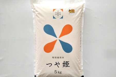 【令和7年産】浜田市弥栄町産の美味しいお米「秘境奥島根弥栄」つや姫5割減（5kg）【090_1866】