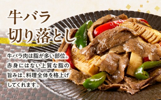 【訳あり】宮崎牛バラ切り落とし500g_M132-106-01