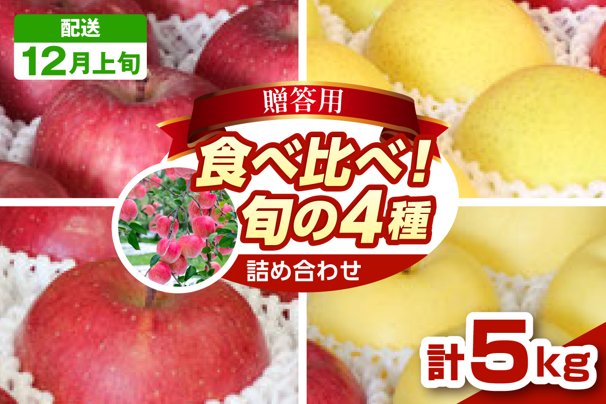 【2026年12月上旬発送】りんご　青森 食べ比べ 4品種<ふじ サンふじ 王林 金星> 5kg 程度 贈答用 青森 農家直送 サンフジ 青森県 五所川原市 贈答 セット 詰め合わせ 林檎 リンゴ a