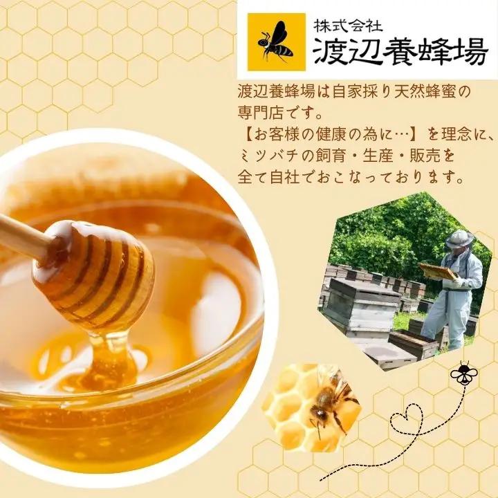 国産天然栗はちみつ スタンドボトル 500g ) | ハチミツ 蜂蜜【株式会社渡辺養蜂場】
