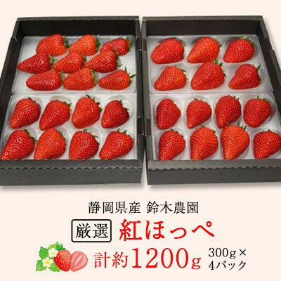 【ふるさと納税】【発送月固定定期便】静岡県産いちご　厳選「紅ほっぺ」4パックセット(約1.2kg)全3回【配送不可地域：離島・北海道・沖縄県・東北・中国・四国・九州】【4079587】