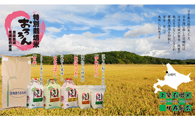 ★６月以降発送★【2025年産】 【定期便：3回】 北海道羽幌産 特別栽培米 ゆめぴりか5kg ｜ 5キロ 計15kg 計15キロ 米 定期 3回 安心 安全 北海道米 ワンストップ オンライン申請 