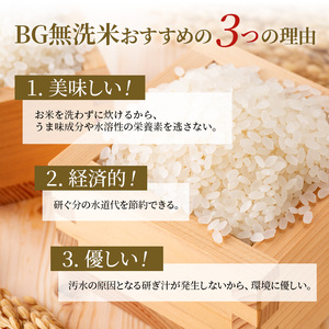 米 みずかがみ BG無洗米 10kg 令和5年 ふるさと応援特別米  無洗米 お米 こめ コメ おこめ 白米
