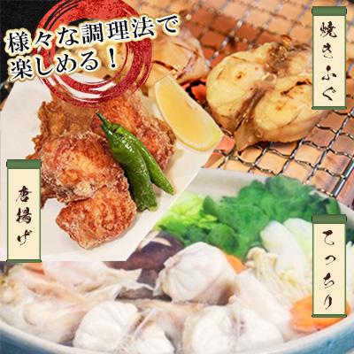 ふるさと納税 宇城市 【毎月定期便】ふぐの王様!とらふぐ 国産最高級!天草とらふぐセット(宇城市)全2回 |  | 01