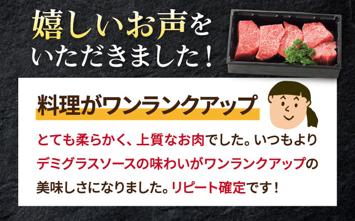 【全12回定期便】 特選 壱岐牛 すね肉 300g（カレー・シチュー用）《壱岐市》【太陽商事】[JDL081] 肉 牛肉 黒毛和牛 ブランド牛 カレー シチュー 赤身 チマキ 煮込み ブロック 国産 