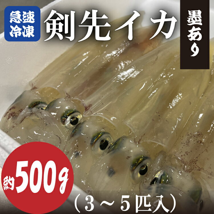 【ふるさと納税】剣先イカ 冷凍 墨あり 急速冷凍 真空パック 約500g 3～5杯 長門市 (10068)