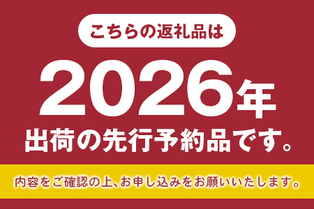 ＜2026年出荷＞先行予約［訳あり］シャインマスカット 約1.3kg【B688】