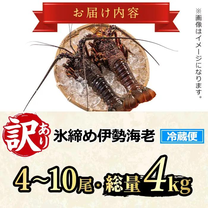 【1353211a】＜訳あり＞朝獲れ発送！鮮魚問屋が厳選した氷締め伊勢海老(4～10尾・総量4kg以上) 伊勢エビ 伊勢えび 刺身 さしみ えび 海老 魚介類 海鮮 刺身 塩焼き 訳あり 訳アリ 【江