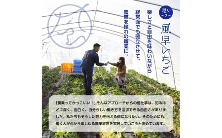 【2月発送】とちおとめエクセレント（12粒or15粒）1箱