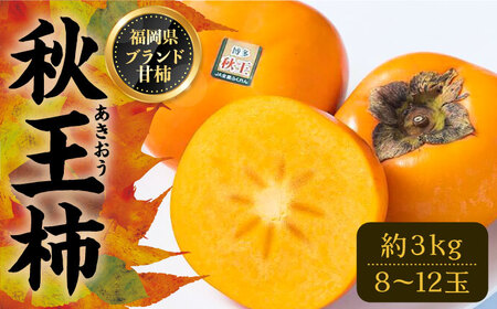【先行予約】秋王 (あきおう) 柿a 3kg 箱 (8-12玉)【2025年10月以降順次発送】《豊前市》【南国フルーツ】柿 果物 フルーツ ＜離島配送不可＞[VBY007]