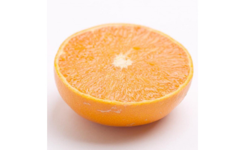 ［先行予約］家庭用 せとか5kg+250g（傷み補償分）［柑橘・春みかんの王様］［わけあり・訳あり］［光センサー選果・食べ頃出荷］［IKE63］