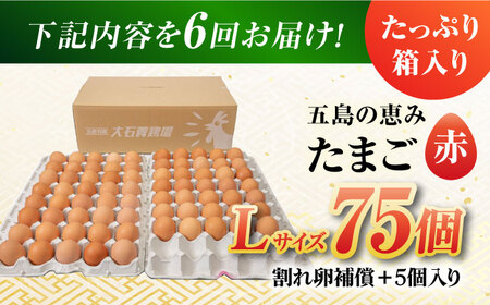 【6回定期便】【箱入り】五島の恵みたまご Lサイズ 75個入 / 卵 赤玉子五島市 / 五島列島大石養鶏場[PFQ018]  玉子 タマゴ 鶏卵 希少 五島列島